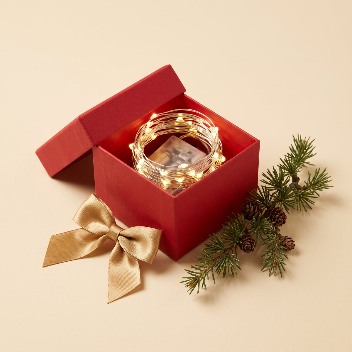 Regalo LED in omaggio in confezione regalo